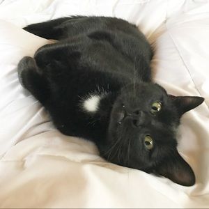 Meet your Posher, Carlee